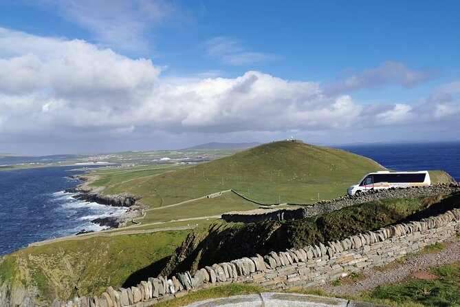 3 Days Tour Viking Express A Shetland Experience - Visiting Carols Ponies