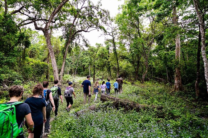 3-Days Tower Night Stay Inside Jungle Tour - Tour Inclusions