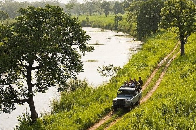 3-Days Tower Night Stay Inside Jungle Tour - Physical Requirements