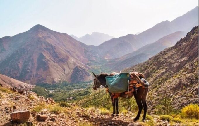 3 Days Trek Atlas Mountains Berber Villages From Marrakech - Frequently Asked Questions