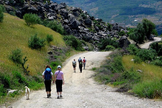 3 Days Trekking From Chefechaouen - Reviews and Feedback
