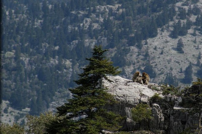 3 Days Trekking From Chefechaouen - Meeting and Departure