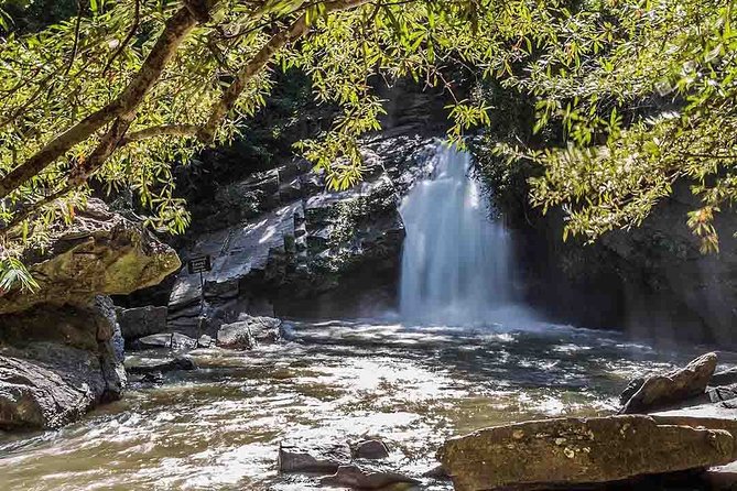 3 Days Trekking Tour to Mae Wang Jungle From Chiang Mai - Inclusions and Exclusions