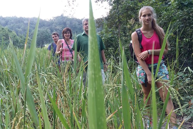 3 Days Trekking Tour to Mae Wang Jungle From Chiang Mai - User Experience Summary