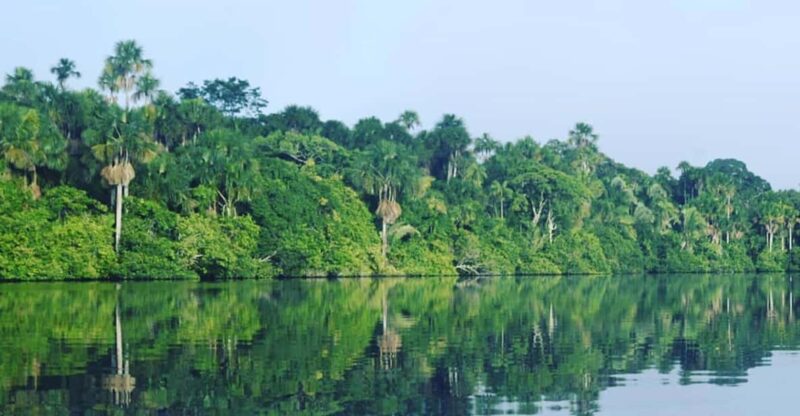 3 Days|| Trust the Tambopata Experience: Wild Amazonia - Accommodation and Amenities