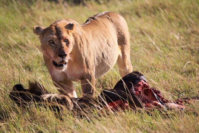 3 Days Tsavo East & Amboseli (2 Nights) - Pickup Locations
