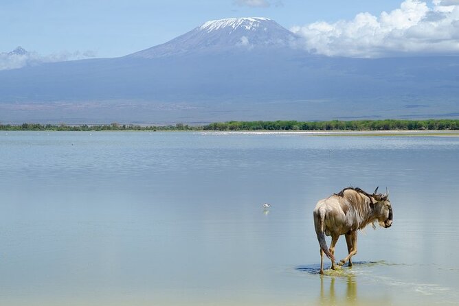3 Days Tsavo East & Amboseli (2 Nights) - Booking Information