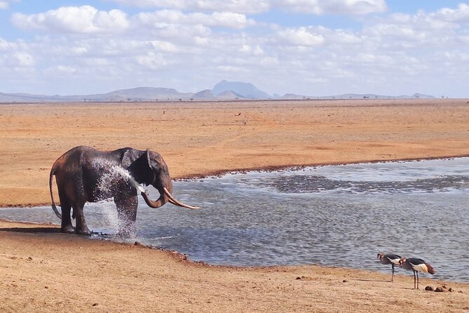 3 Days Tsavo East & Amboseli Safari From Mombasa/Diani or Nairobi - Packing Essentials