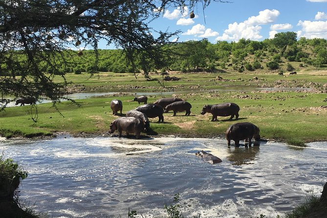 3 Days Unique Safari Selous Game Reserve Tanzania - Pickup and Start Time