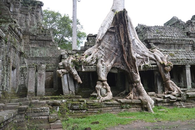 3 Days Unique Tour To Siem Reap Angkor - Meeting and Pickup