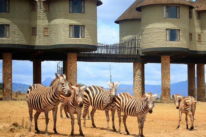 3 Days(2 Nights) Tsavo East Tour & Saltlick (Cost Based on Minimum 2 Persons) - Inclusions