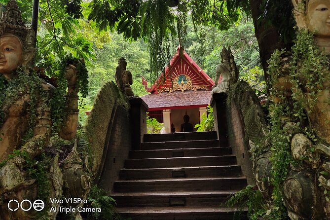 3 Experiences: Doi Suthep Temple, Wat Phalat & Elephants - Accessibility and Additional Information