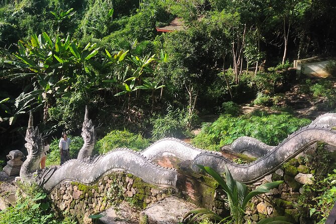 3 Experiences: Doi Suthep Temple, Wat Phalat & Elephants - Reviews and Ratings