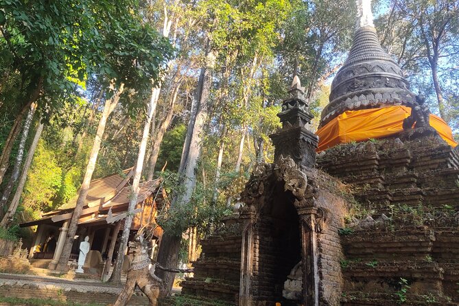 3 Experiences: Doi Suthep Temple, Wat Phalat & Elephants - Encounter With Elephants