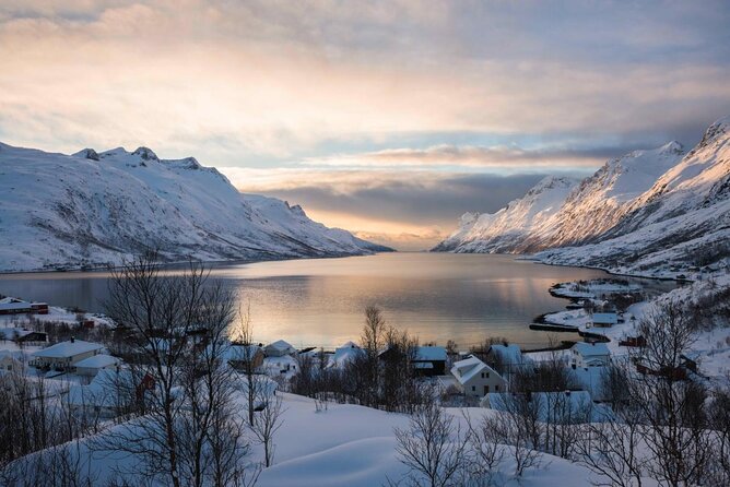 3 Fjords Scenic Road Trip With Light Snacks Fire in Grill Cabin - Key Points