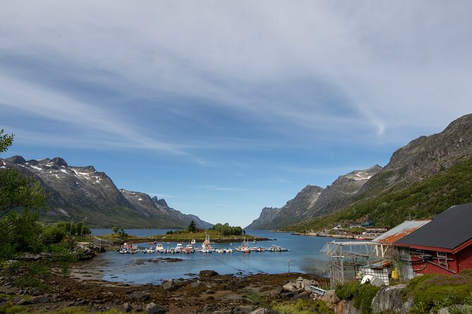 3 Fjords Scenic Road Trip With Light Snacks Fire in Grill Cabin - Fjord Sightseeing Experience