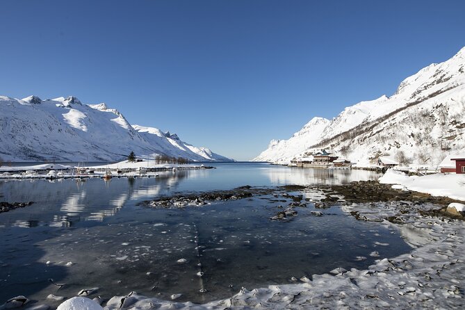 3 Fjords Scenic Road Trip With Light Snacks Fire in Grill Cabin - Reindeer and Light Snacks