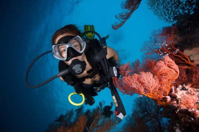 3 Fun Dives for Certified King Cruiser Wreck and Koh Dok Mai - Frequently Asked Questions