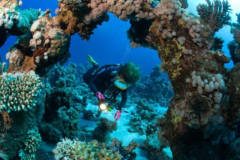 3 Fun Dives for Certified: Phi Phi Islands and Shark Point - Key Points