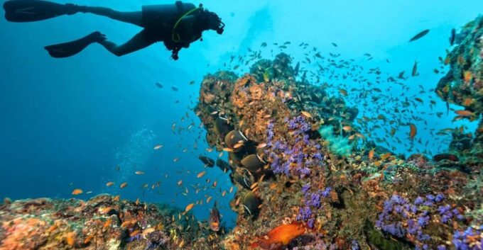3 Fun Dives for Certified: Phi Phi Islands and Shark Point - Frequently Asked Questions