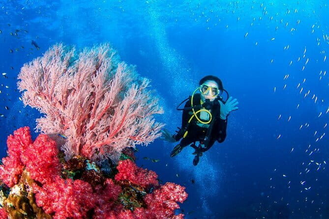 3 Fun dives in Phi Phi islands for Certified Divers - Frequently Asked Questions