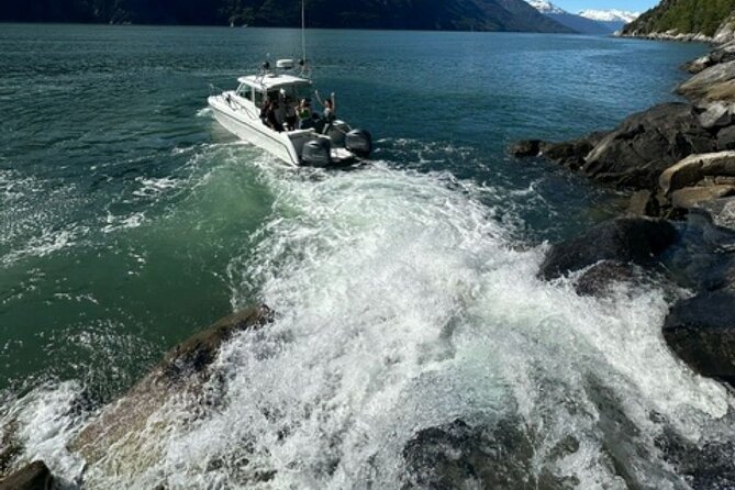 3 Hour Alaska Waterfalls Tour - Traveler Reviews and Feedback