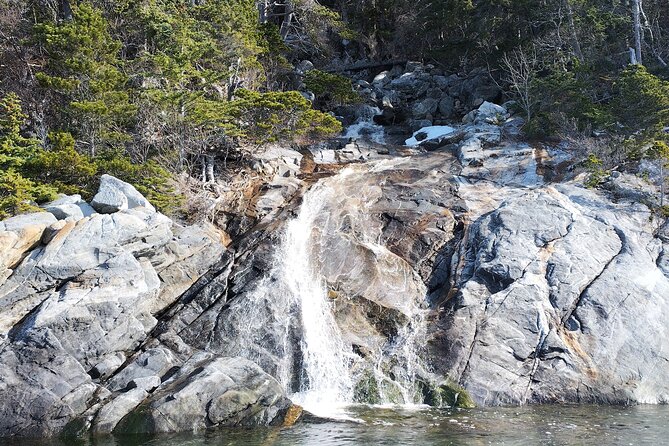 3 Hour Alaska Waterfalls Tour - Booking Details