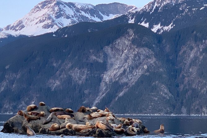 3 Hour Alaska Waterfalls Tour - Additional Information