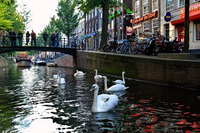 3 Hour Amsterdam Private Guide Walking Tour With an Amsterdam Born Raised Guide - Ending the Tour at Nieuwmarkt