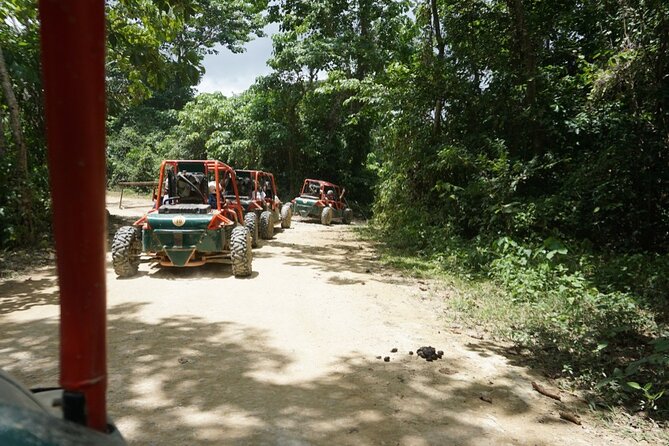 3-Hour Awesome Dune Buggy Excursion in Punta Cana - Inclusions and Exclusions