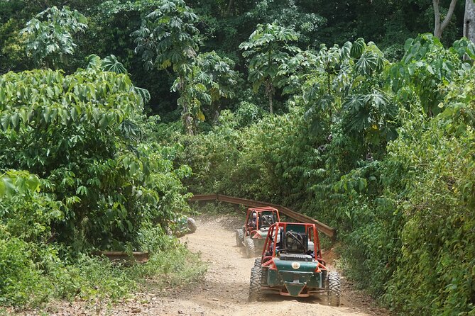 3-Hour Awesome Dune Buggy Excursion in Punta Cana - Preparing for the Adventure