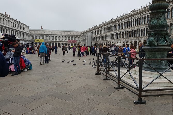 3-hour Best of Venice Highlights Private Walking Tour - Customer Reviews