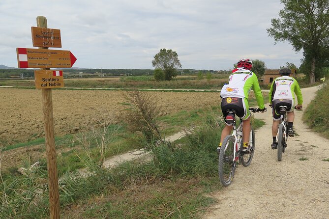 3-Hour Bike Tour and Wine in Tuscany: Nobiles Path - Tour Overview