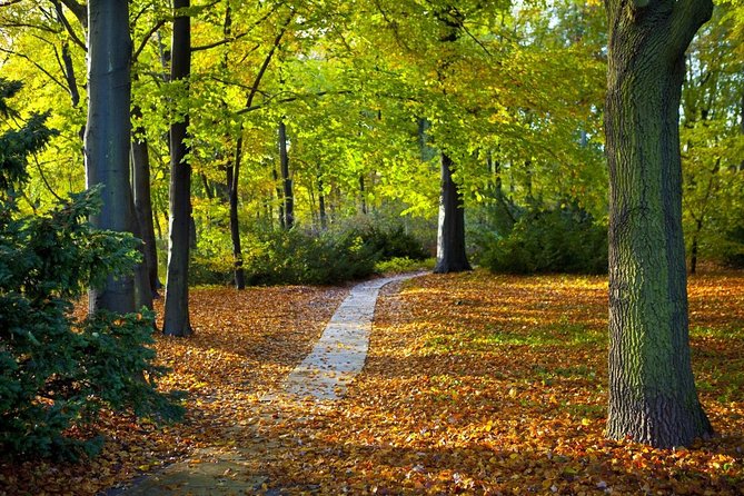 3-Hour Bike Tour of Tiergarten and Berlins Hidden Places - Good To Know
