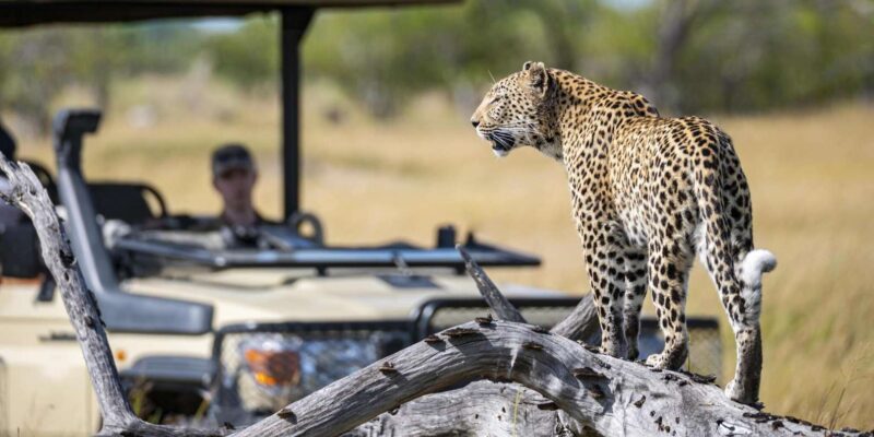 3 Hour Blue Canyon Private Reserve Game Drive - Pricing and Duration