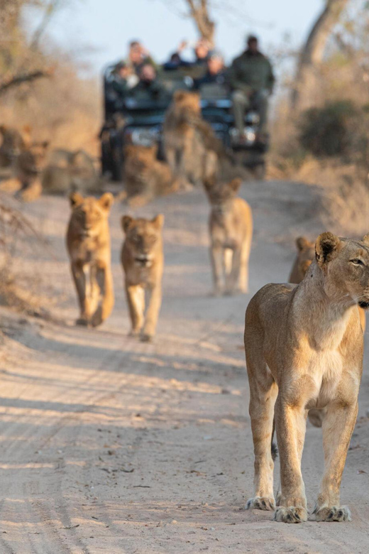 3 Hour Blue Canyon Private Reserve Game Drive - Group Size and Language