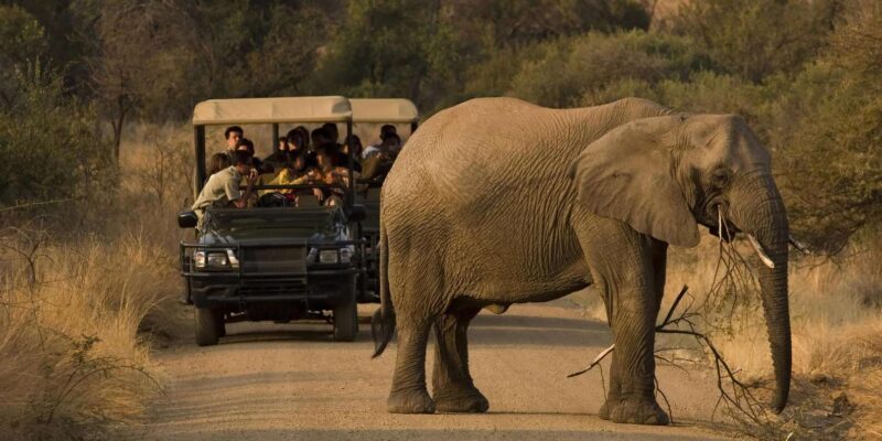 3 Hour Blue Canyon Private Reserve Game Drive - Experience Highlights