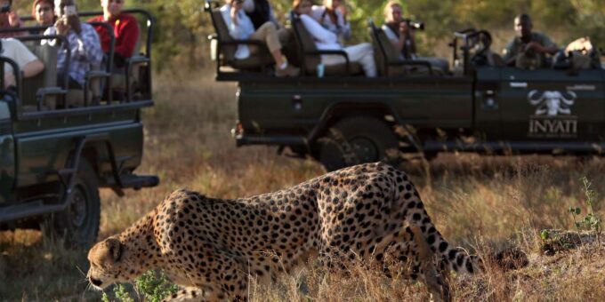 3 Hour Blue Canyon Private Reserve Game Drive - Inclusions