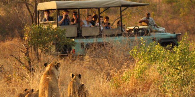 3 Hour Blue Canyon Private Reserve Game Drive - Customer Reviews