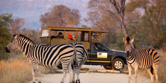 3 Hour Blue Canyon Private Reserve Game Drive - Frequently Asked Questions