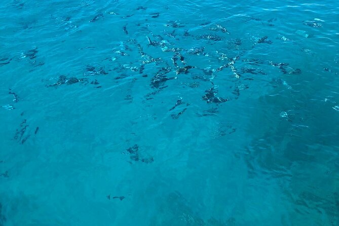 3-Hour Boat Tour - Tour End Point