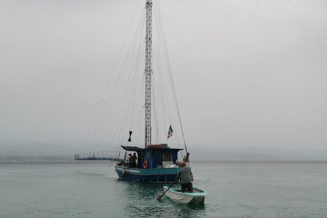 3 Hour Boat Tour in Messina - Scheduled Operating Hours
