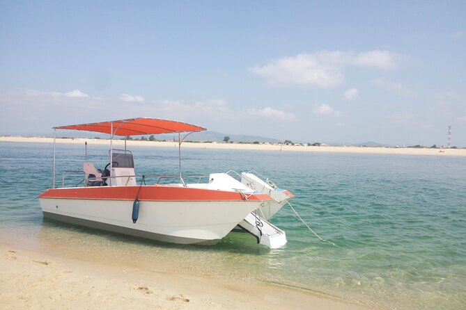 3 Hour Boat Tour in Ria Formosa - Inclusions