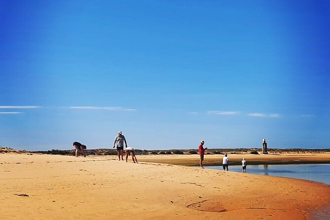 3 Hour Boat Tour in Ria Formosa - Accessibility and Participation