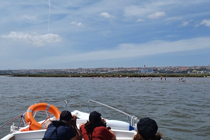 3-Hour Boat Trip and Birdwatching in the Tagus Estuary - Recommended Attire