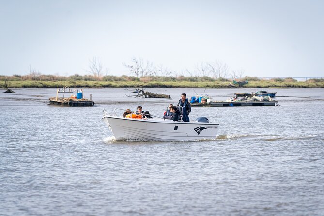 3-Hour Boat Trip and Birdwatching in the Tagus Estuary - Educational Tour Experience