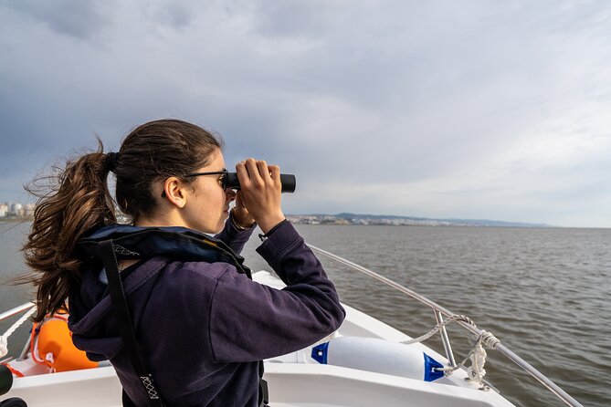 3-Hour Boat Trip and Birdwatching in the Tagus Estuary - Meeting Point and Start Time