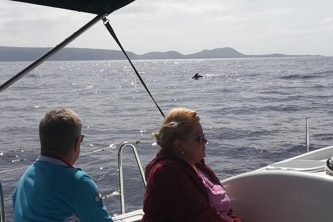 3-Hour Boat Trip From Costa Adeje in Tenerife - Customer Reviews and Ratings