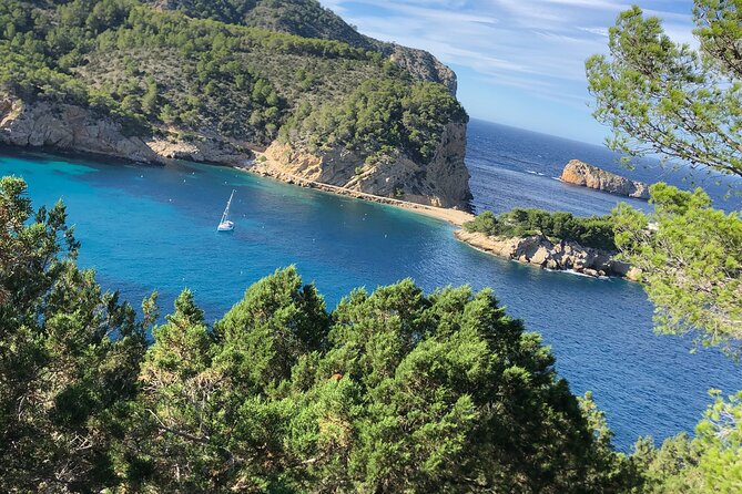 3 Hour Boat Trip to Ponta Da Piedade - Reviews and Ratings