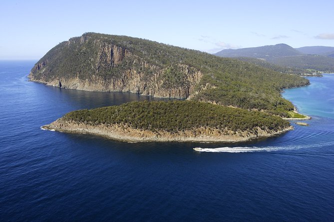 3-Hour Bruny Island Cruise From Adventure Bay, Bruny Island - Expert Local Guide Commentary